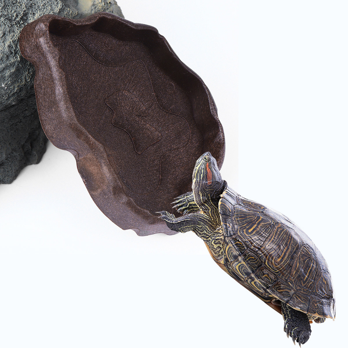 Water Dish Reptile - Bol d'alimentation en résine pour reptiles,