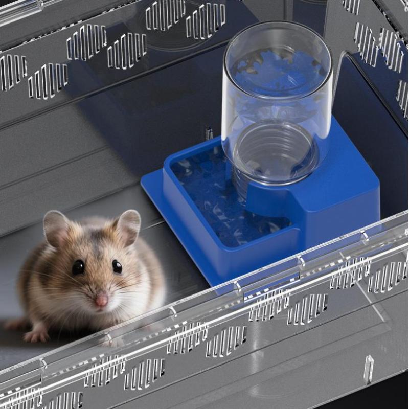 Water Dish Reptile - (BF06) Distributeur d'eau automatique pour reptiles