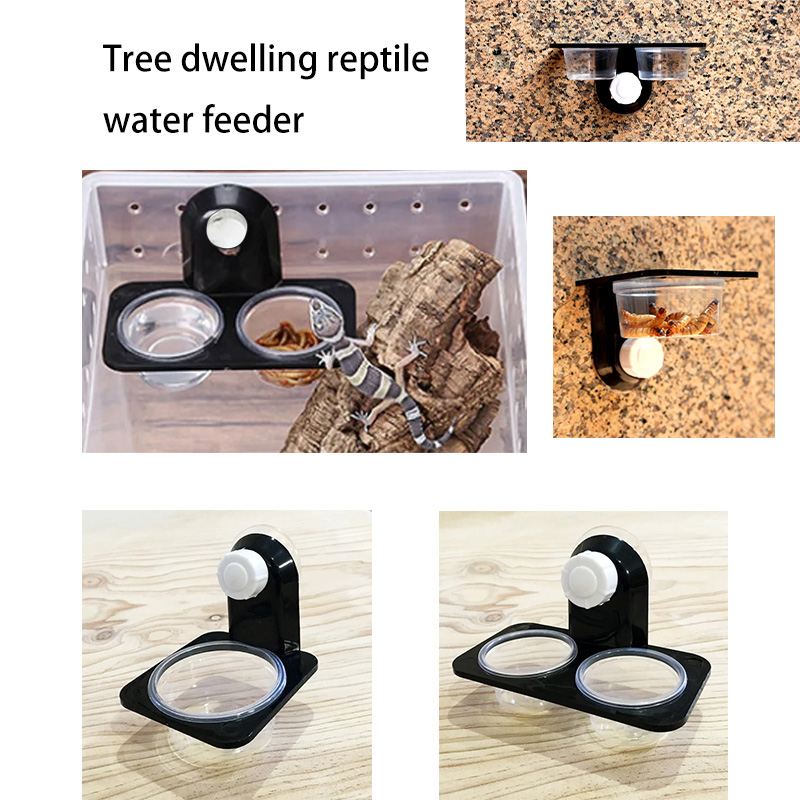 Water Dish Reptile - Filles d'alimentation en terrarium pour animaux