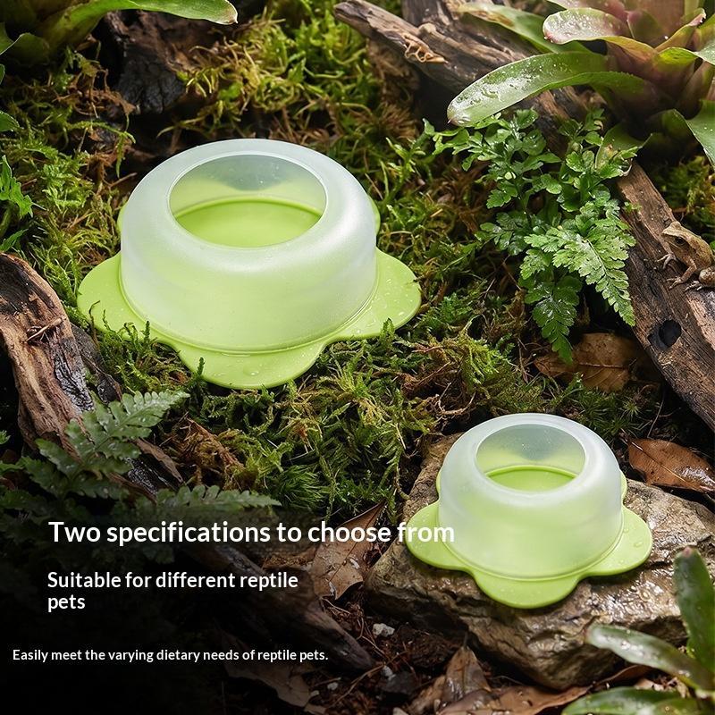 Water Dish Reptile - Plat d'alimentation pour reptiles en ABS,