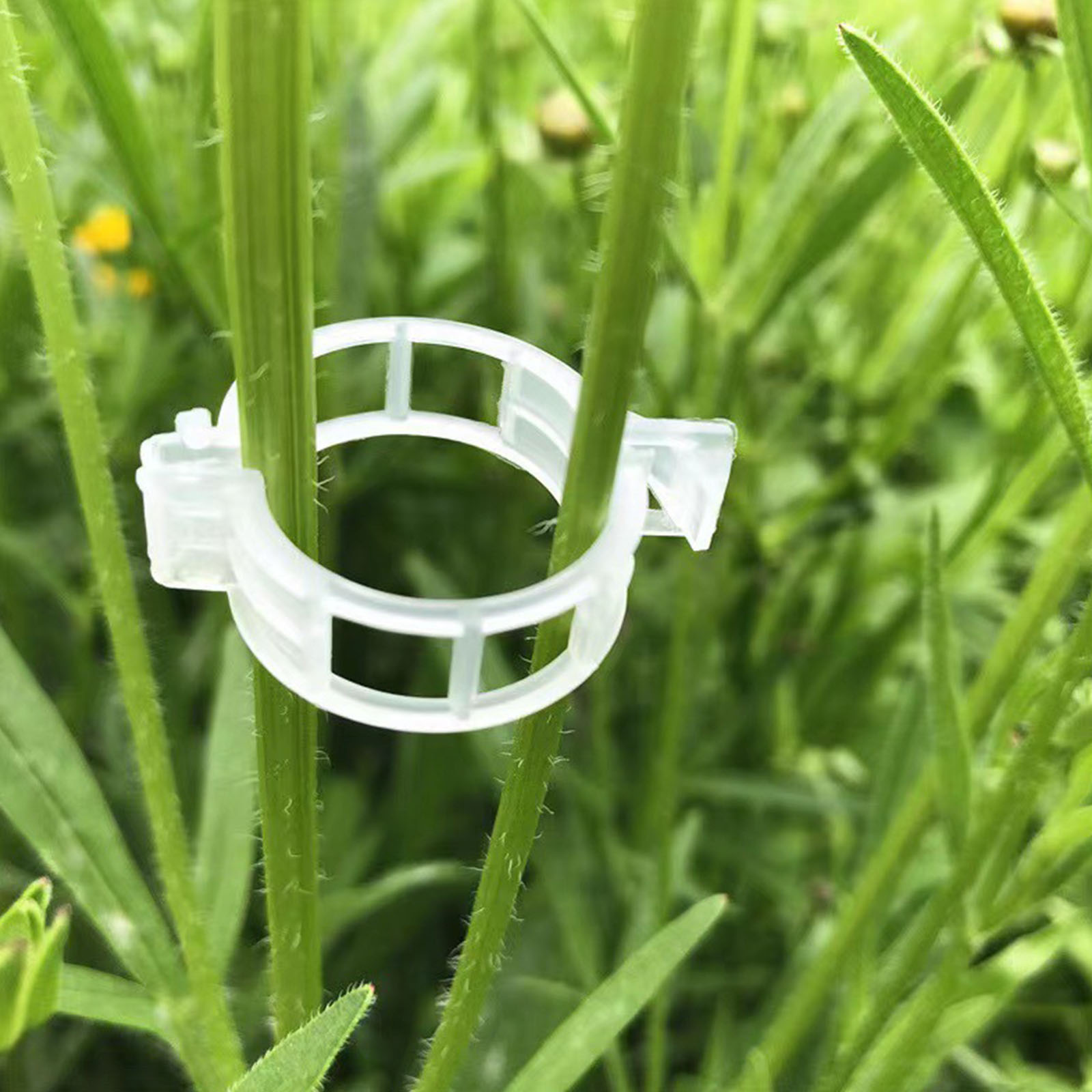 Vine Climbing Plastic - Clip de fixation en plastique sécurisé