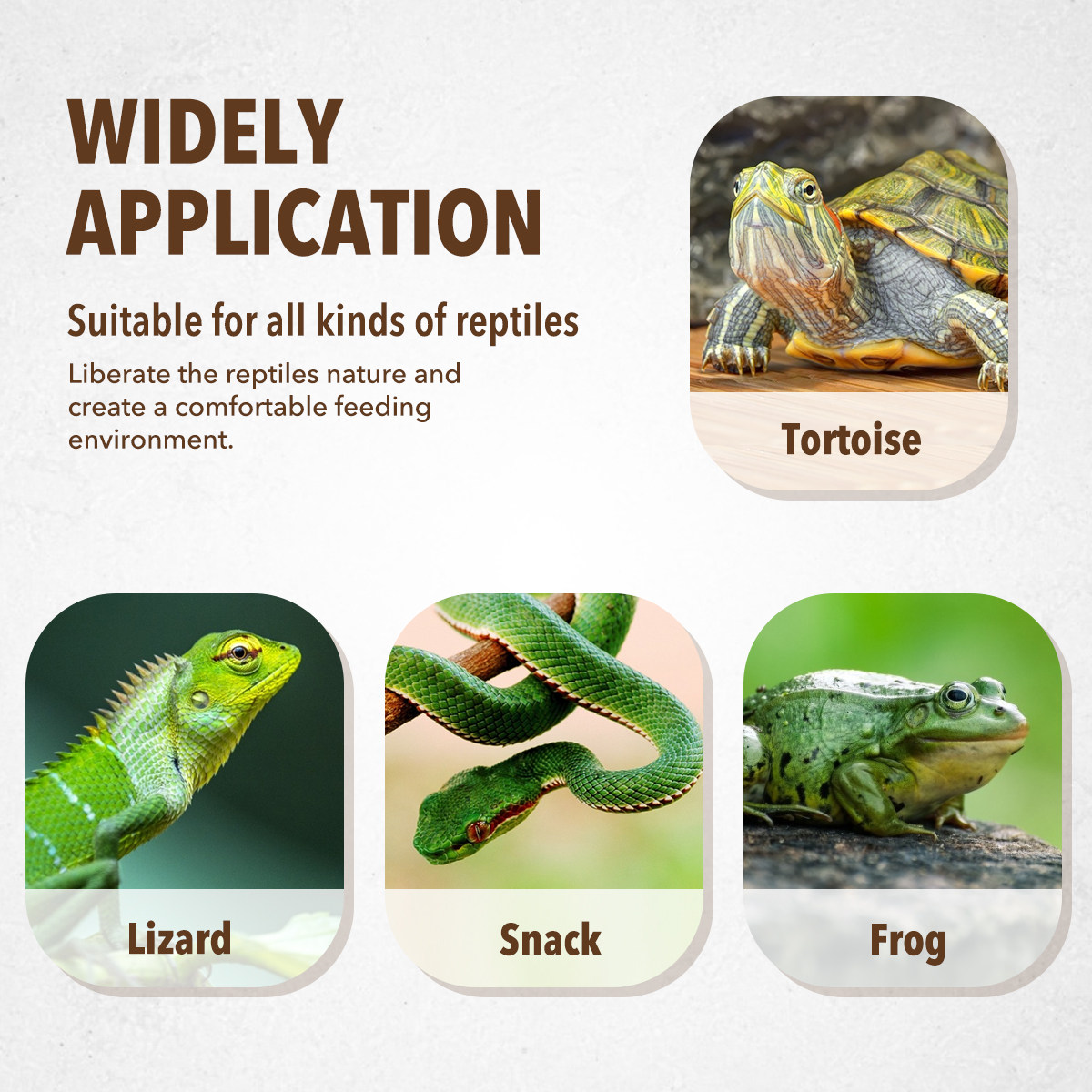 Plat d'alimentation pour anima - Water Dish Reptile avis et prix