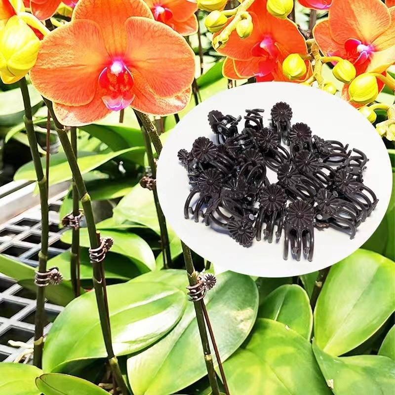 Clips de Soutien Mini en Gros  - Vine Climbing Plastic avis et prix