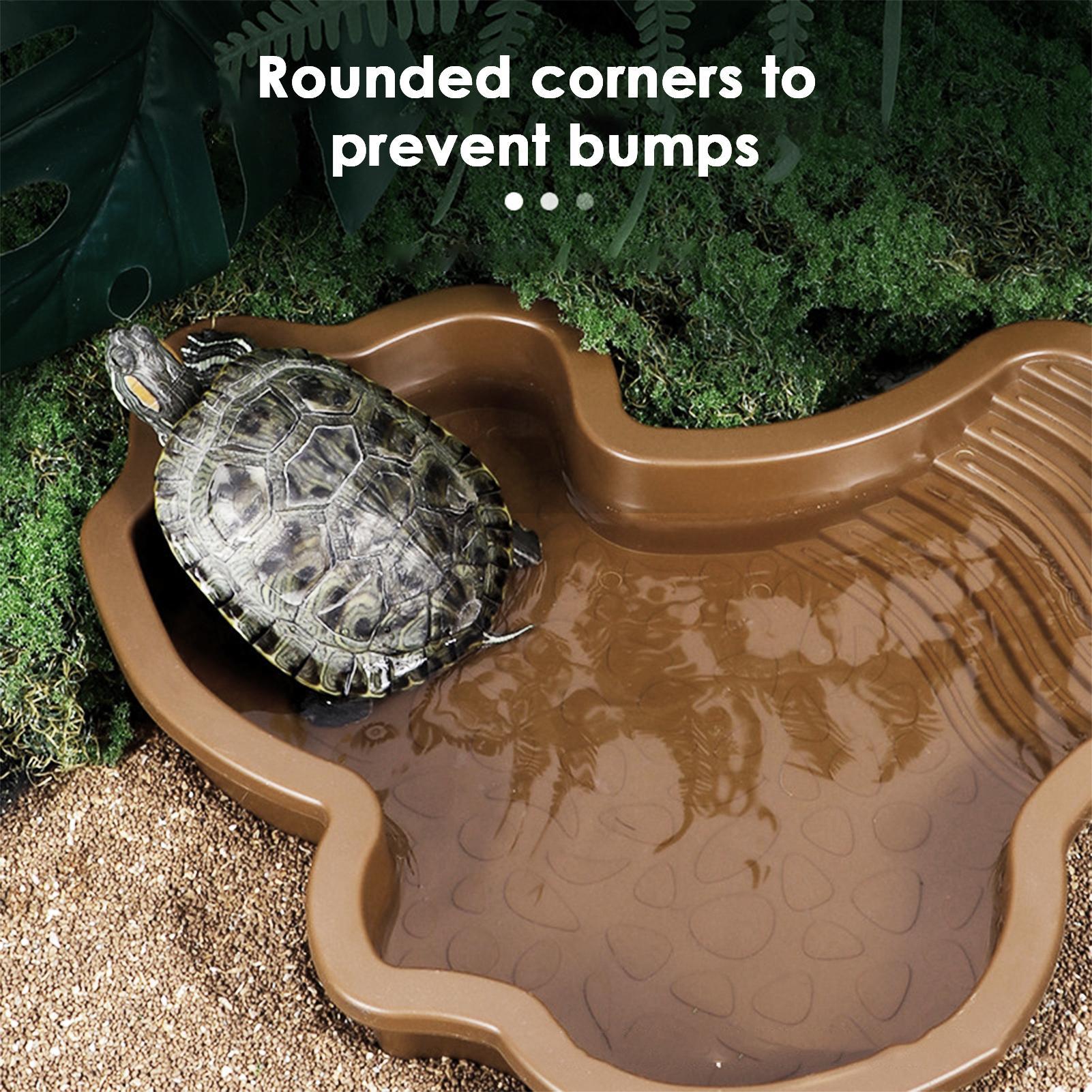 Piscine de bain pour reptiles  - Water Dish Reptile avis et prix