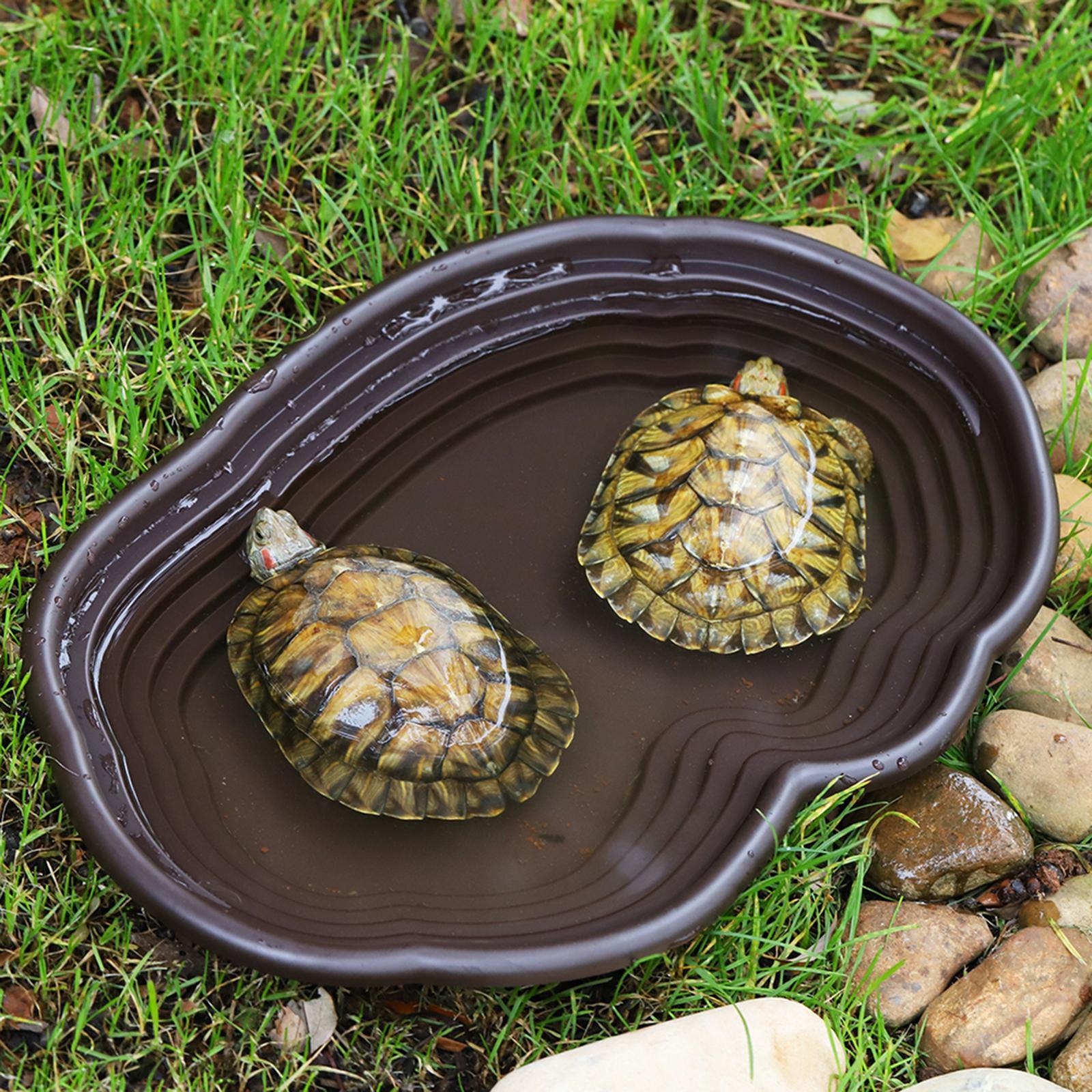 Plat de bain pour reptiles, ma - Water Dish Reptile avis et prix