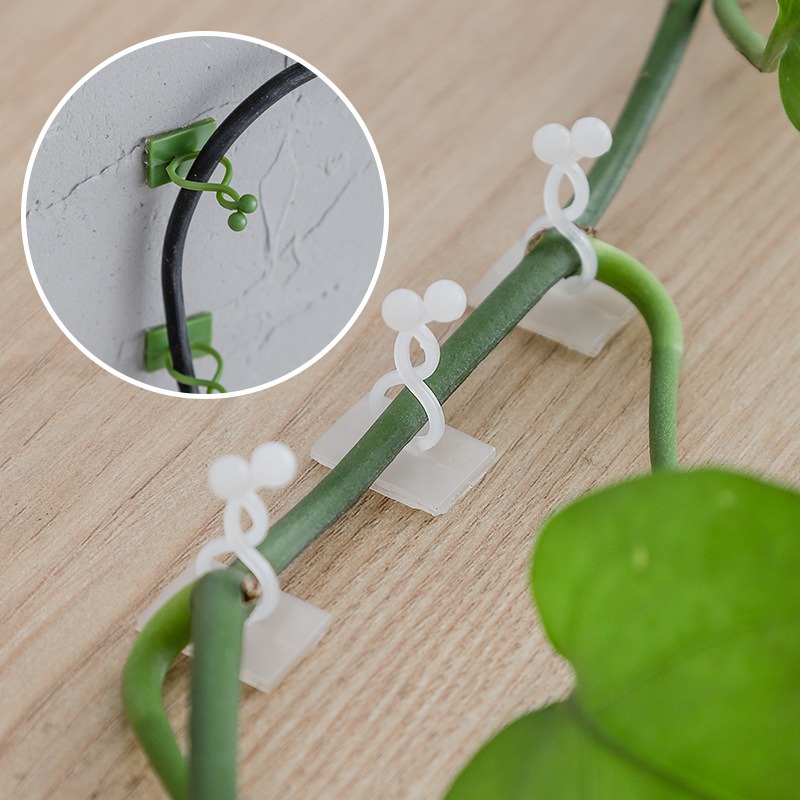 10 crochets de fixation univer - Vine Climbing Plastic avis et prix