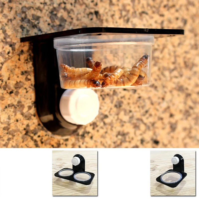 Filles d'alimentation en terra - Water Dish Reptile avis et prix