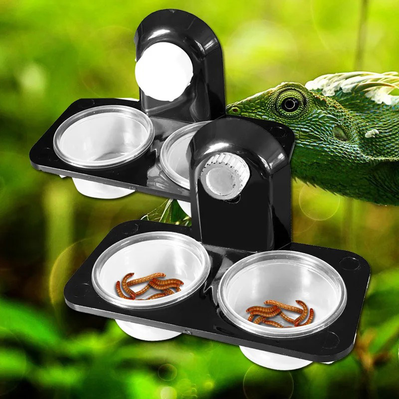 Filles d'alimentation en terra - Water Dish Reptile avis et prix