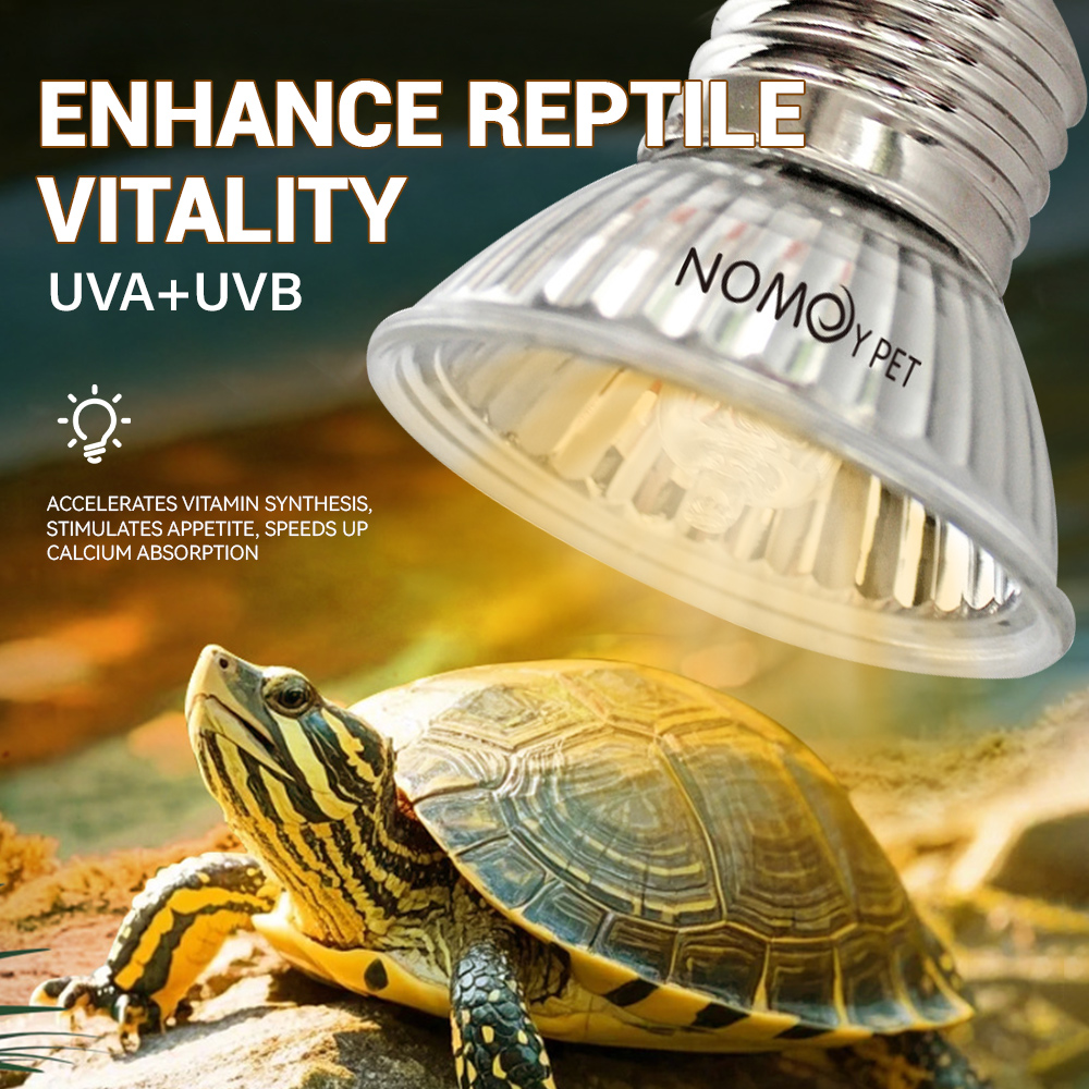 Lampe UVA UVB 50W pour reptile - Vitamin D3 Reptile avis et prix