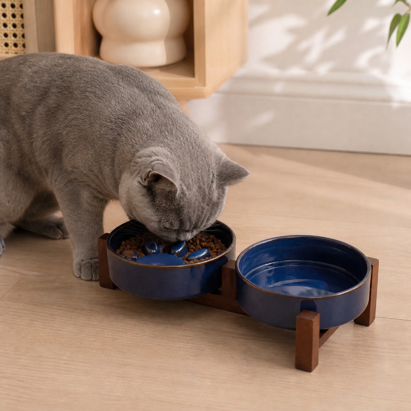 Bol en céramique pour chat et  - Royal Canin Food Medium avis et prix