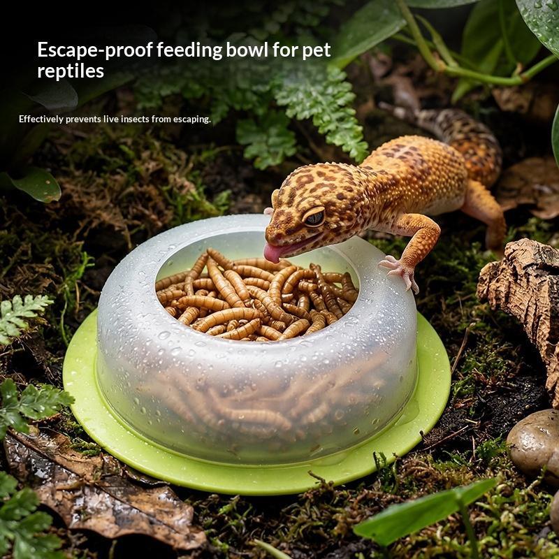 Plat d'alimentation pour repti - Water Dish Reptile avis et prix
