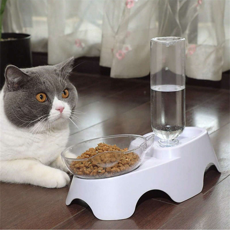 1PC Ensemble de bols doubles p - Royal Canin Food Medium avis et prix