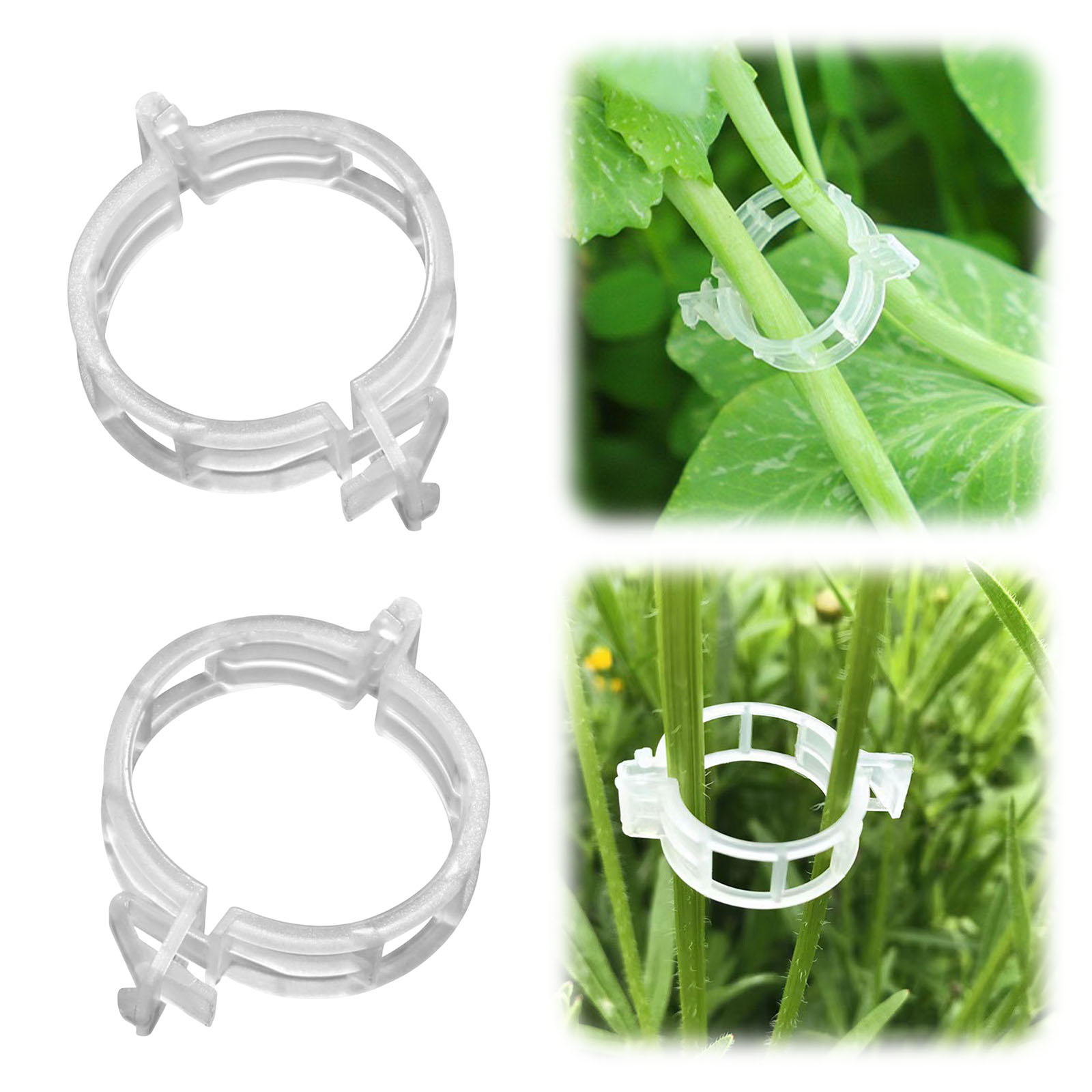 Clip de fixation en plastique  - Vine Climbing Plastic avis et prix