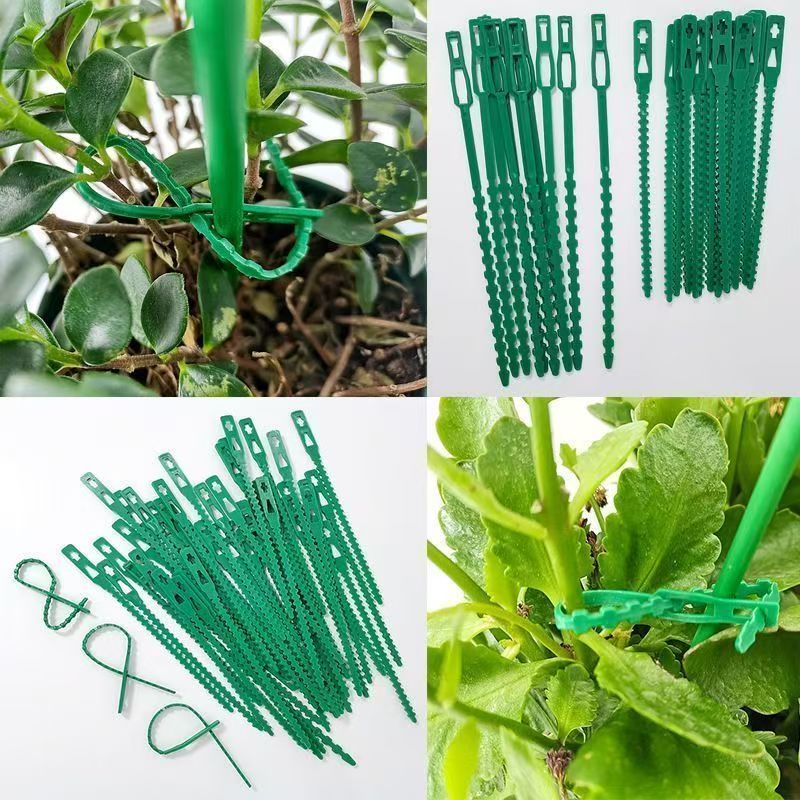Attaches de fixation pour plan - Vine Climbing Plastic avis et prix
