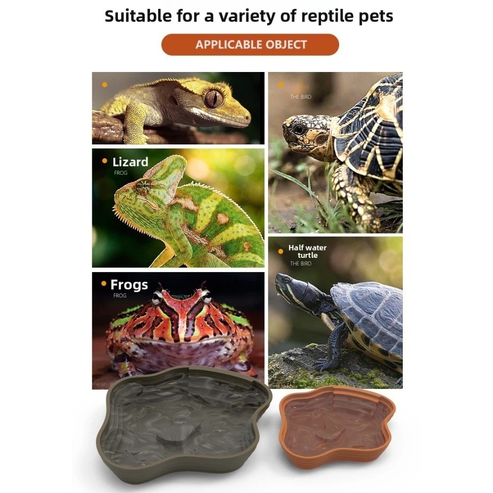 Nouveau bassin d'eau en plasti - Water Dish Reptile avis et prix