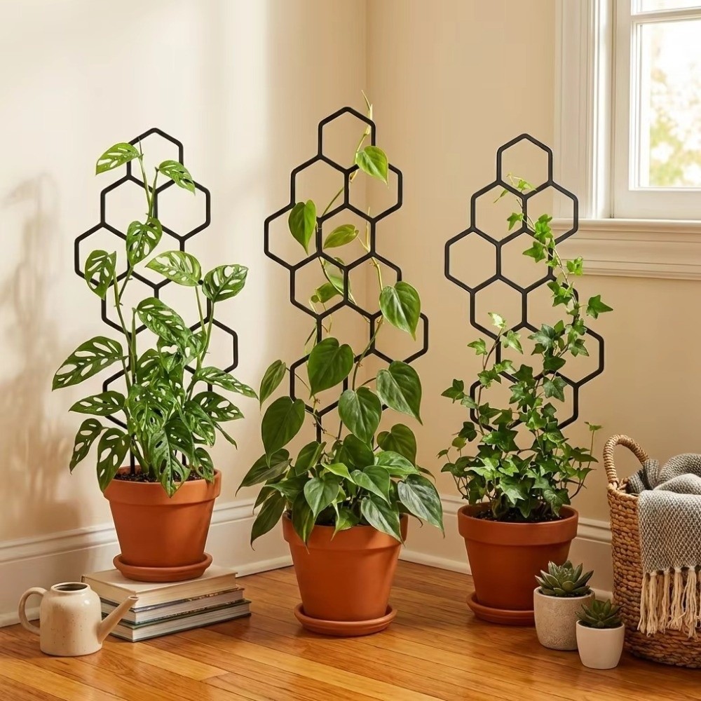 Treillis pour plantes en plast - Vine Climbing Plastic avis et prix