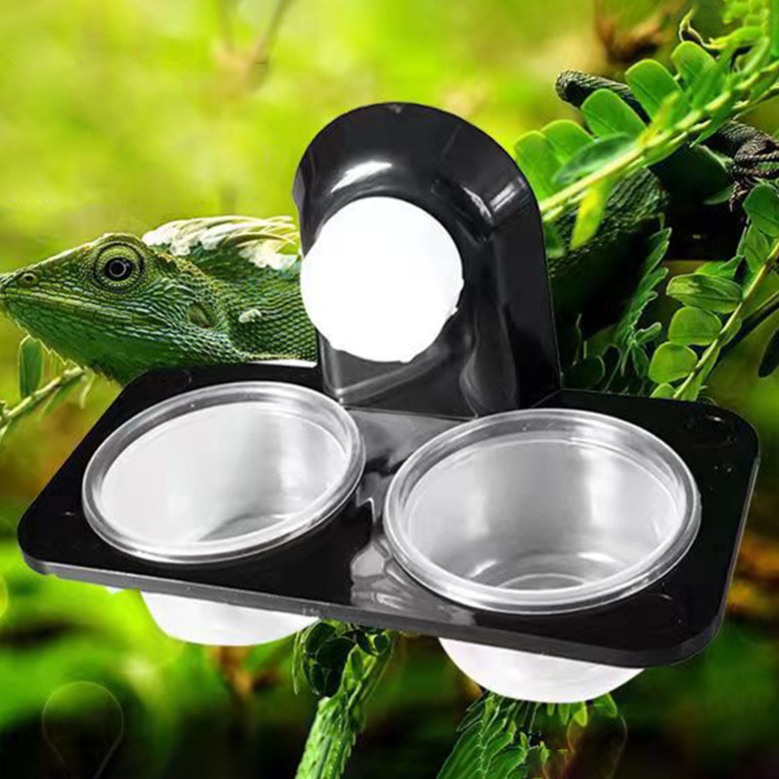 Bols d'alimentation Gecko à cr - Water Dish Reptile avis et prix